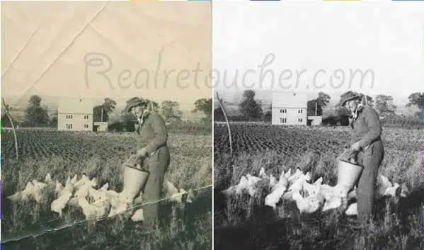 Photo-Dust-Removal-service - photo restoration services